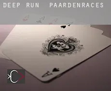 Deep Run  paardenraces
