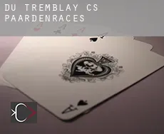 Du Tremblay (census area)  paardenraces