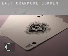 East Cranmore  gokken