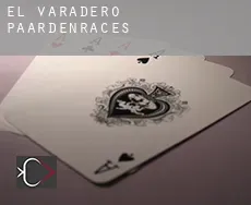El Varadero  paardenraces