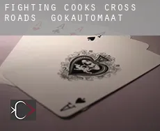 Fighting Cooks Cross Roads gokautomaat