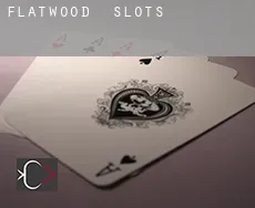 Flatwood slots