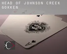 Head of Johnson Creek  gokken