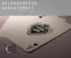 Kalandshofen  gokautomaat