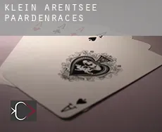 Klein Arentsee  paardenraces