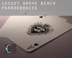 Locust Grove Beach  paardenraces
