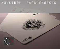 Mühlthal paardenraces