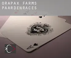 Orapax Farms paardenraces