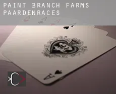 Paint Branch Farms paardenraces