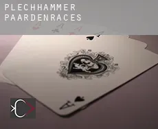 Plechhammer  paardenraces