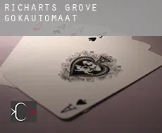 Richarts Grove  gokautomaat