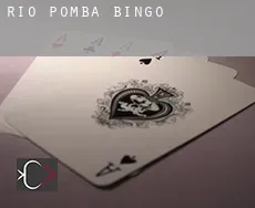 Rio Pomba  bingo