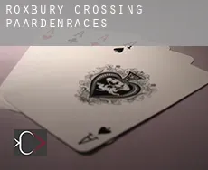 Roxbury Crossing paardenraces