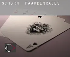 Schorn paardenraces