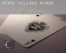 Sespe Village  bingo