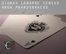 Signay-Labarre (census area)  paardenraces