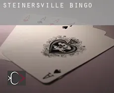 Steinersville  bingo
