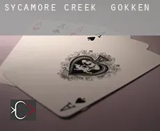Sycamore Creek  gokken