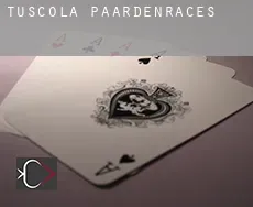 Tuscola paardenraces