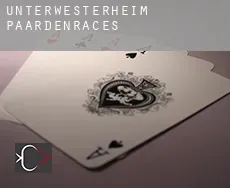 Unterwesterheim  paardenraces
