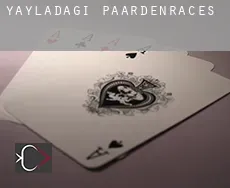 Yayladağı  paardenraces