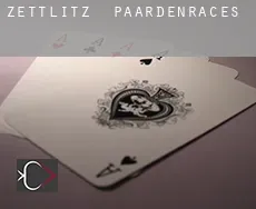 Zettlitz paardenraces