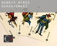 Dubois Acres  gokautomaat