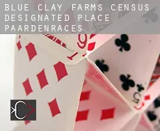 Blue Clay Farms  paardenraces