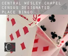 Central Wesley Chapel  bingo