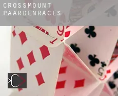 Crossmount  paardenraces