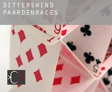 Ditterswind paardenraces