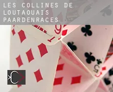 Les Collines-de-l'Outaouais  paardenraces