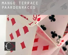 Mango Terrace paardenraces