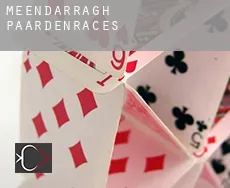 Meendarragh  paardenraces