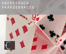 Oberkodach paardenraces