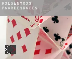 Rolgenmoos  paardenraces