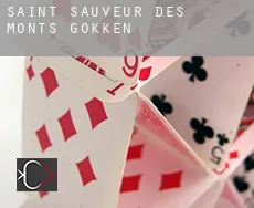 Saint-Sauveur-des-Monts  gokken