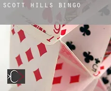 Scott Hills bingo