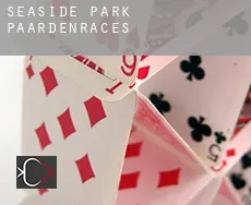 Seaside Park  paardenraces