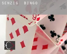 Senzig bingo
