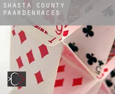 Shasta County paardenraces