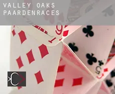 Valley Oaks  paardenraces