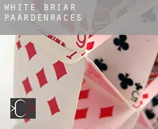 White Briar paardenraces