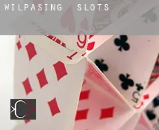 Wilpasing slots