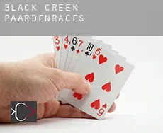 Black Creek  paardenraces