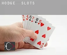Hodge slots