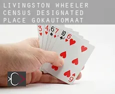 Livingston Wheeler  gokautomaat