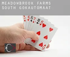Meadowbrook Farms South gokautomaat