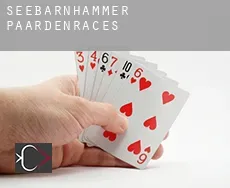 Seebarnhammer paardenraces