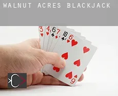 Walnut Acres blackjack